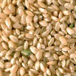 organic brown rice 