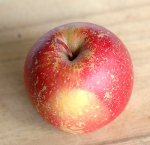 organic fuji apple