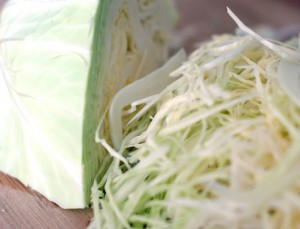 organic cabbage